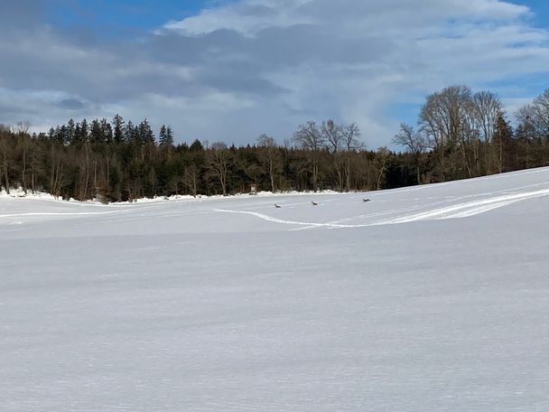 Rund um Berg