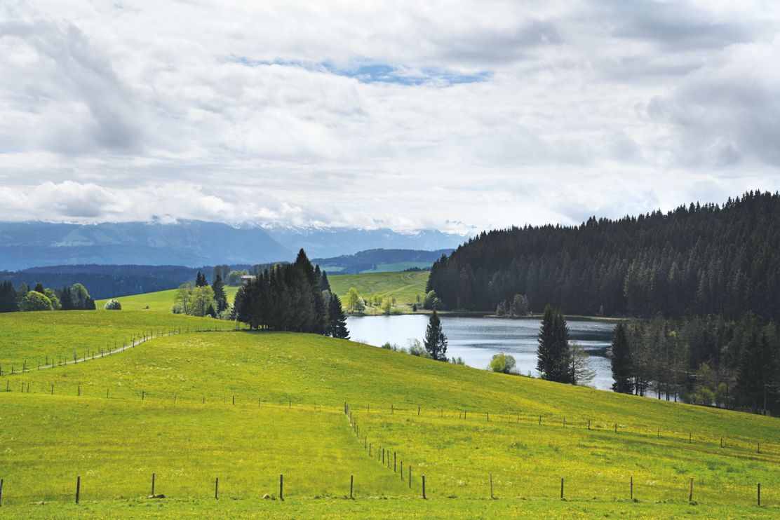 Eschachweiher_BRA_4858_ret