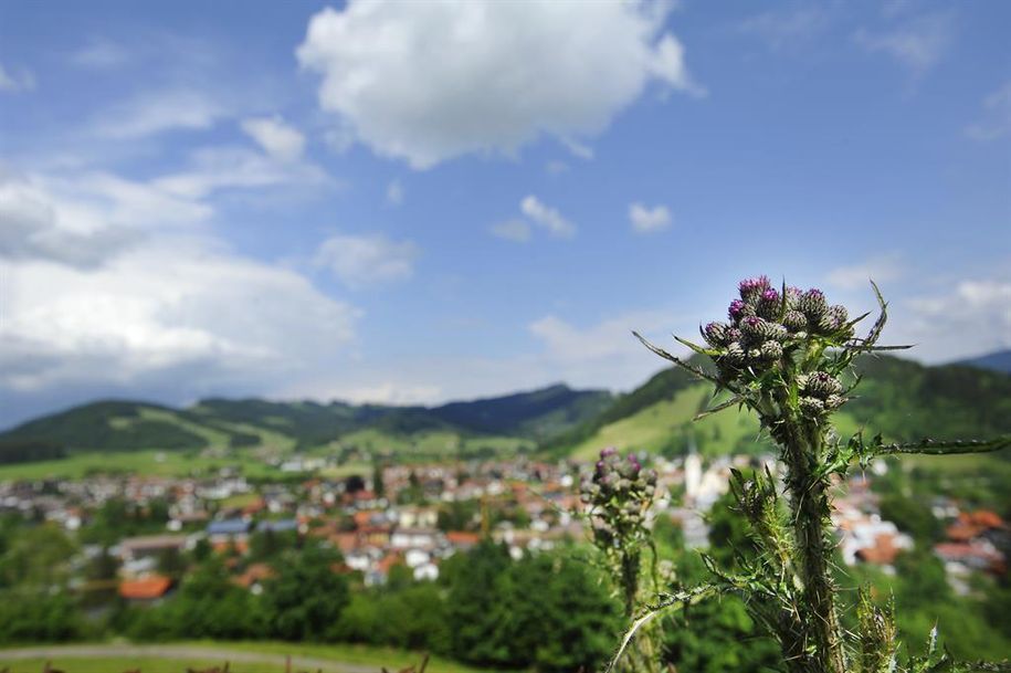 Spaziergang um Oberstaufen