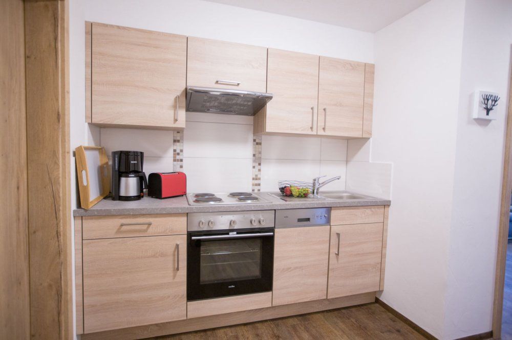 Alpenstyle2: Einbaukueche mit Geschirrspüler