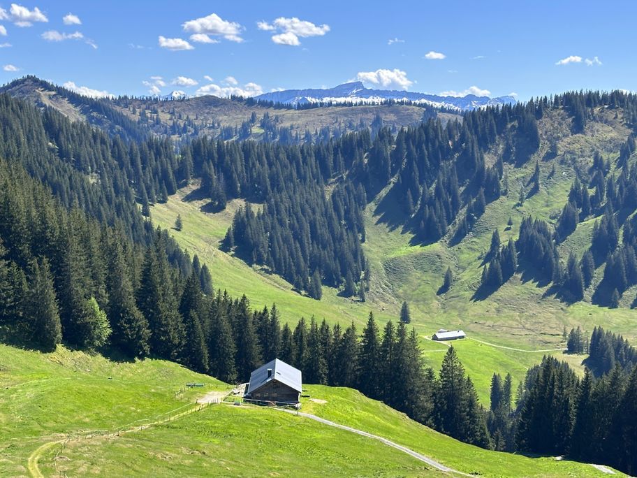 Hörnertour oberhalb des Gunzesrieder Tals