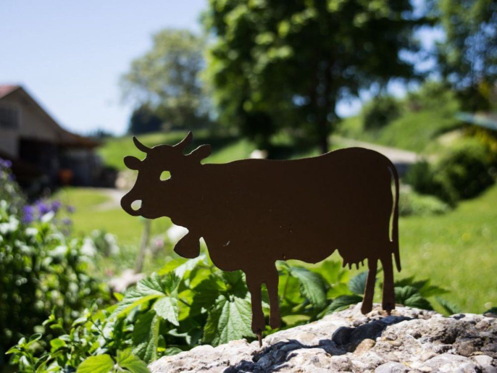 Urlaub auf dem Bauernhof