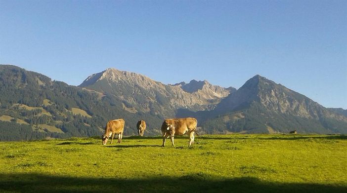 Blick auf´s  Nebelhorn 20161016_154814-1-1
