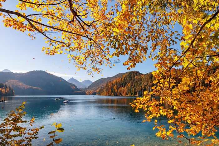 Herbst Alpsee