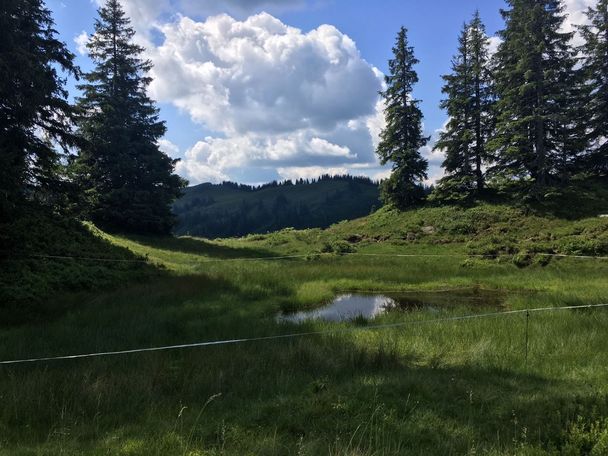 Hochmoor