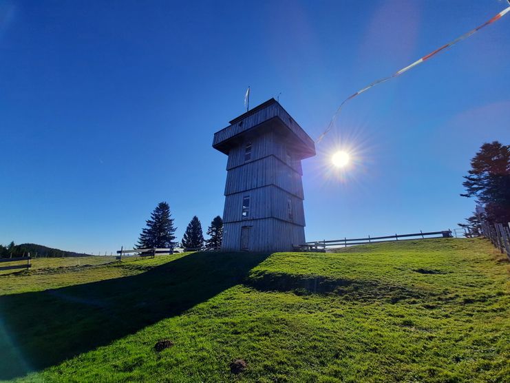 Alpkönigblick