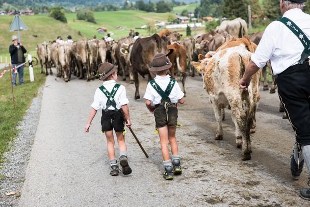 Kleinhirten beim Viehscheid