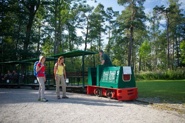 Bännlebahn im Wurzacher Ried