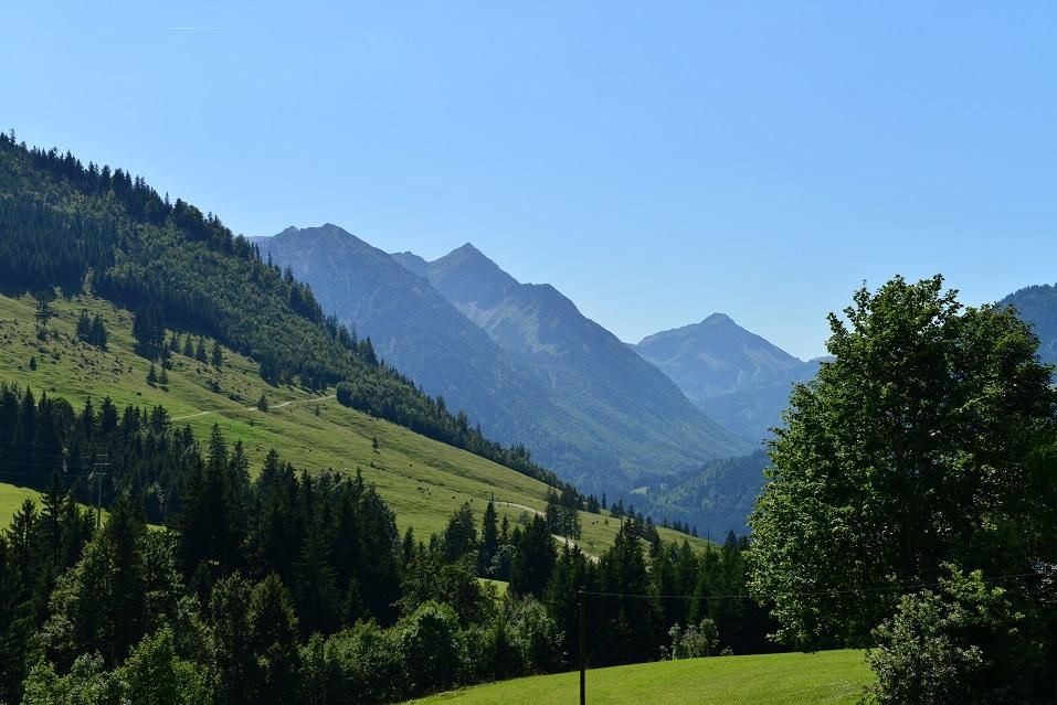 Blick Jagdhof Süd-West- Richtung