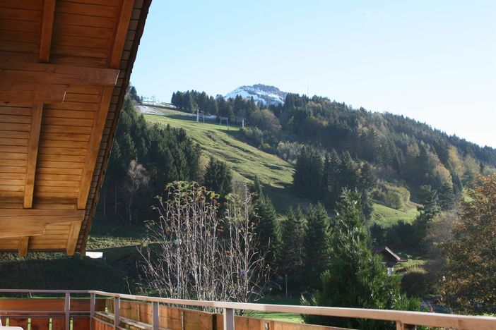 Aussicht auf den Grünten