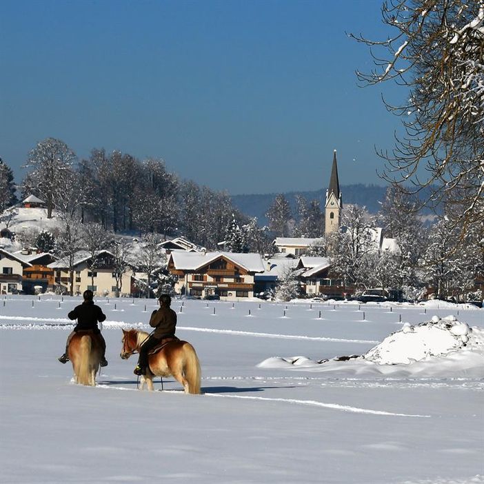 endlich Schnee