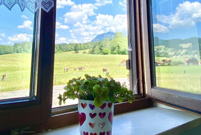 Ausblick