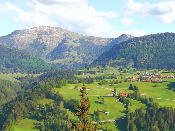 Blick zum Hochgrat