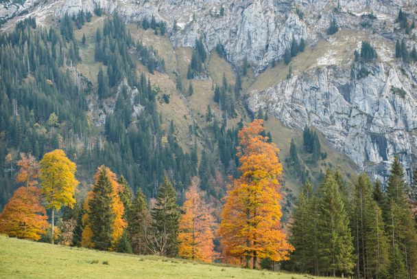 Hochtal Wankerfleck