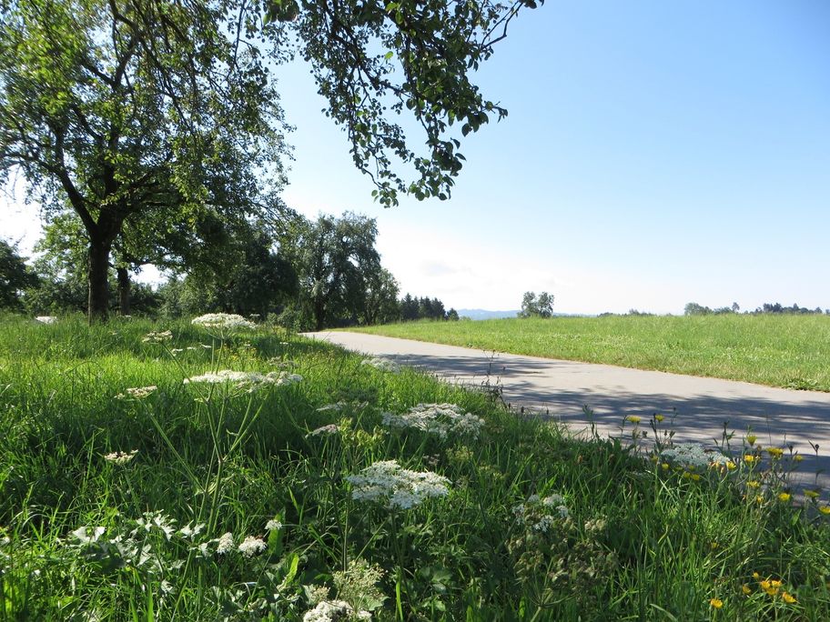 Wanderrundweg 9: "Von Untermooweiler zur Marienkapelle und durchs Tegernmoos"