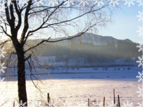 Winter1