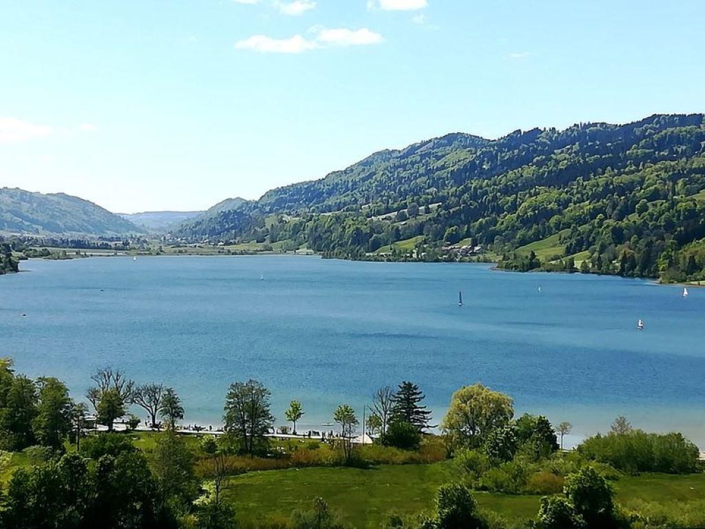 Der große Alpsee