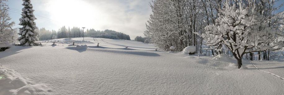 Mit Winterwanderwegen direkt ab Haus