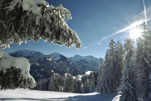 Schneebedeckte Wälder und Wiesen, Sonnenschein und traumhaftes Bergpanorama - das ist der Winter in Bad Hindelang.