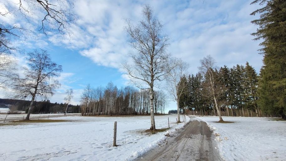 Wiesenweg zum Elbsee und zurück