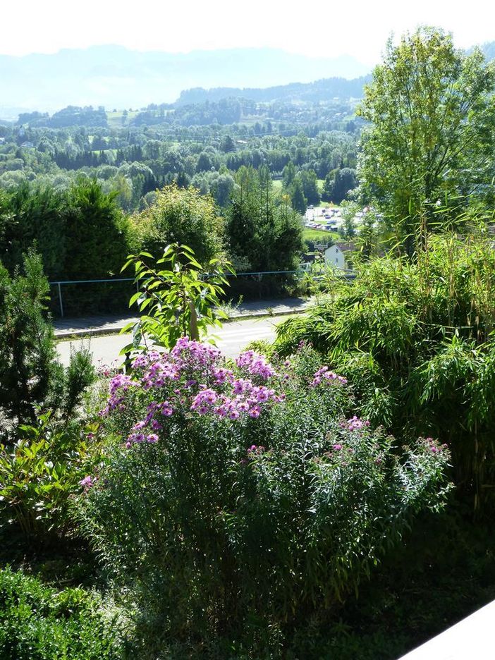 Tannach, Blick v. Balkon in den Garten
