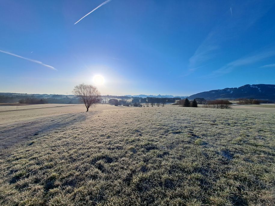 Morgenspaziergang im Frühling