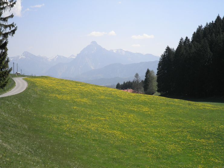 Zwischen Holz und Zell im Allgäu