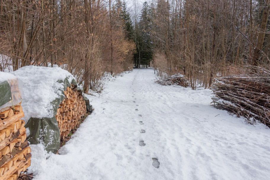 Fußspuren auf dem verschneiten Waldwanderweg.