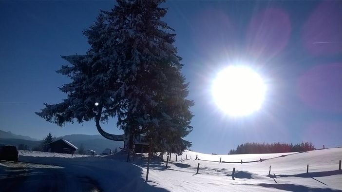 Schneespaziergang
