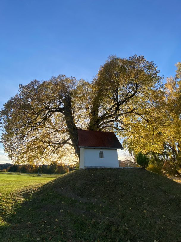 Kapelle Kalden unter mächtiger Linde