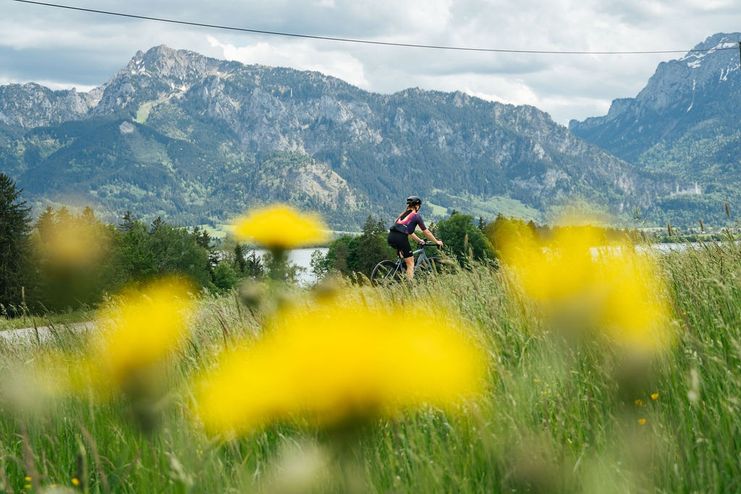 Rennrad am Forggensee