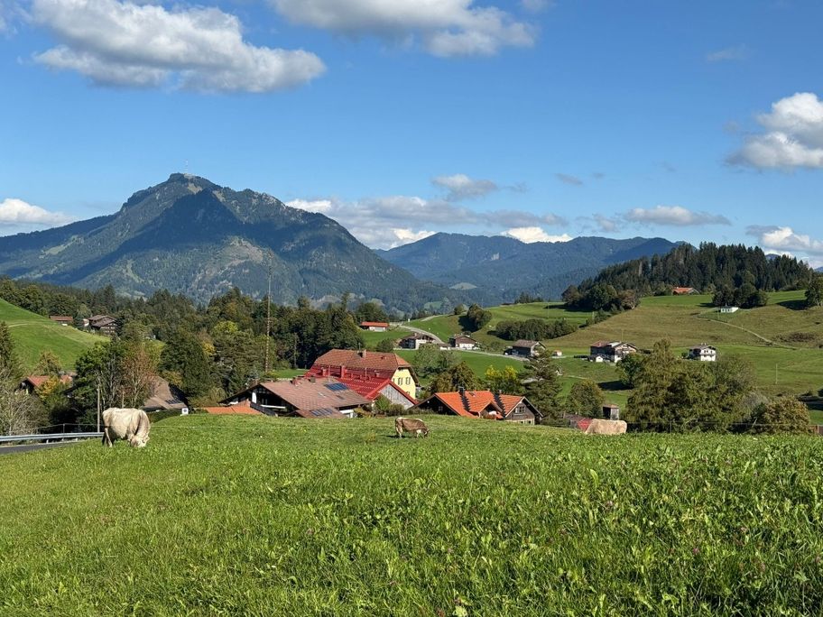 Blick auf den Grünten