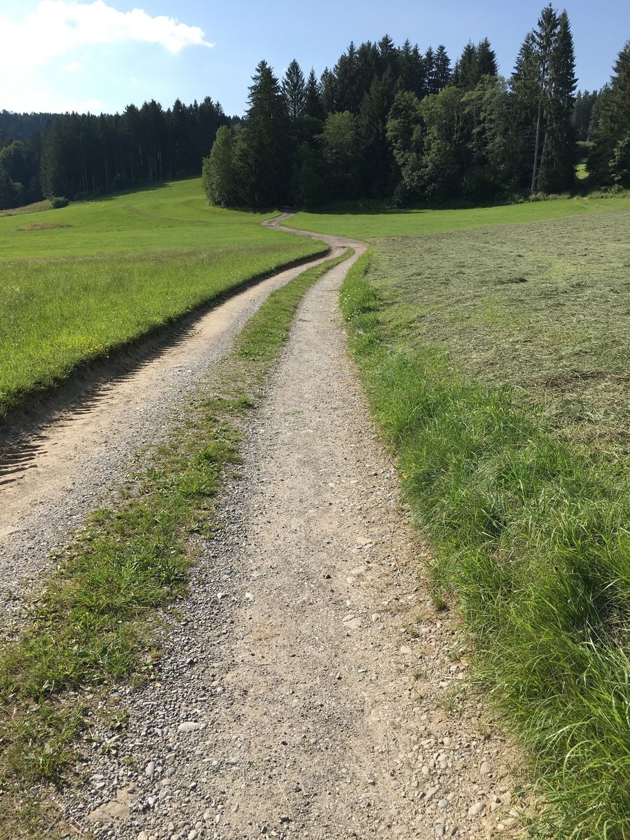 Wanderweg Richtung Hopfen am See