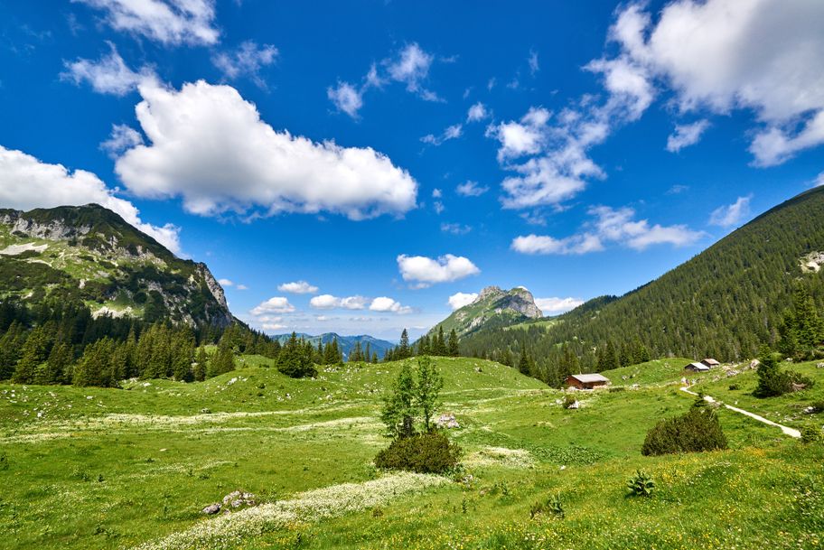 Sebenalm (1.650 m)