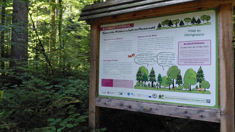 Informationstafel zum Plenterwald