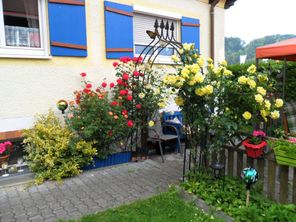HAUS (10)
