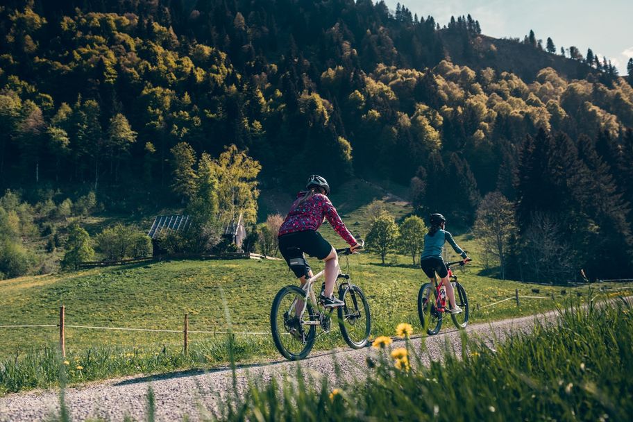 Rund ums Immenstädter Horn