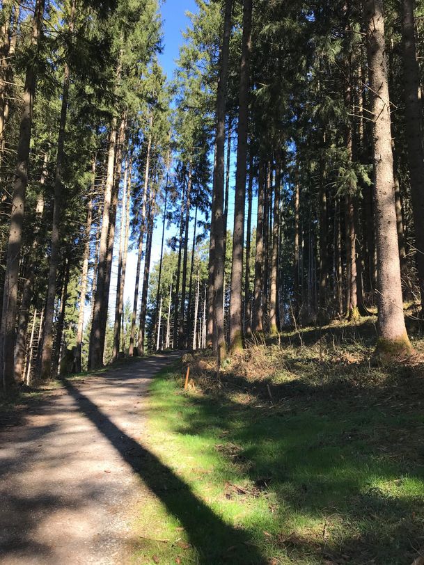 Amselweg Richtung Maderhalm oder Oberdorf