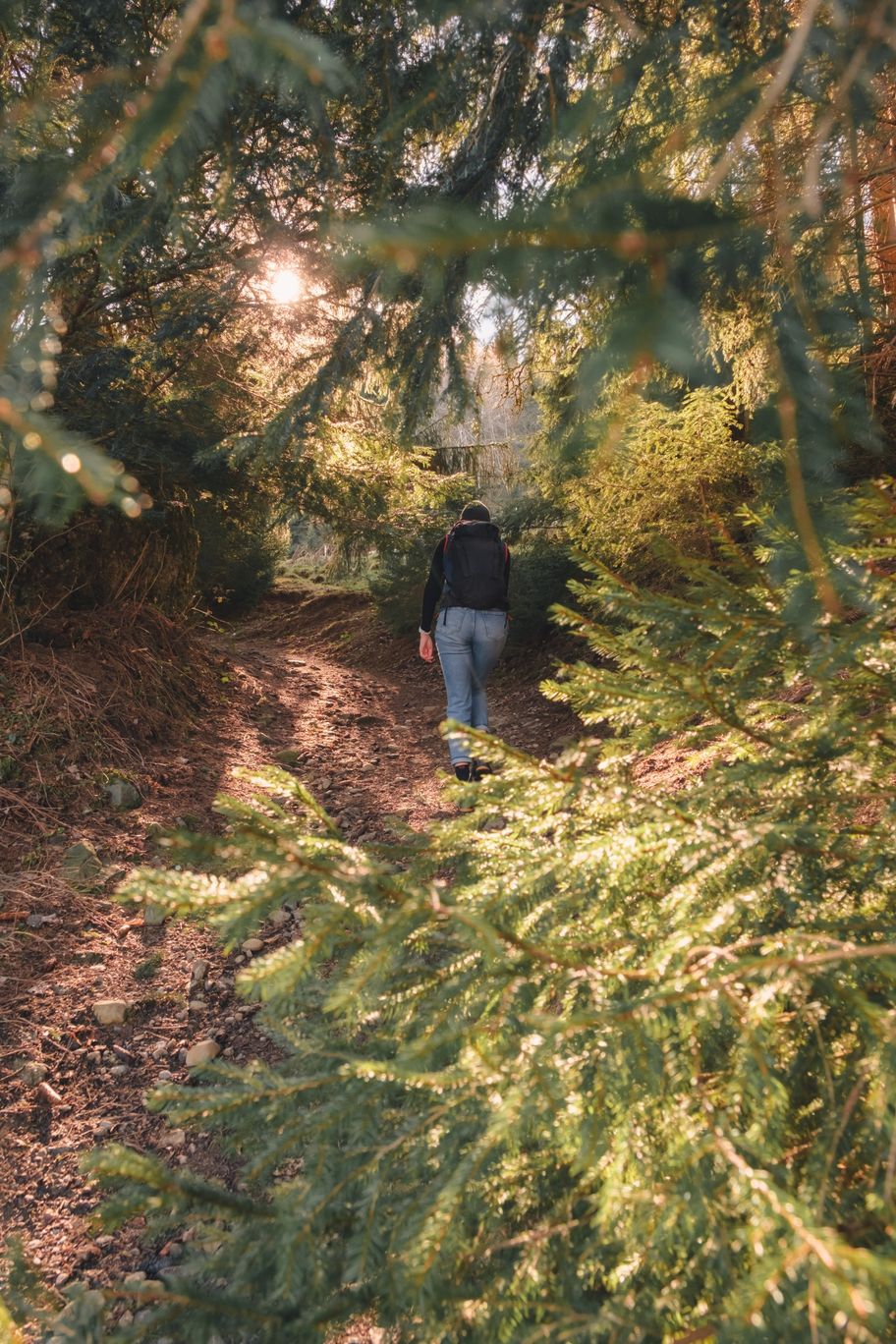 Wanderweg im Wald bei Immenstadt