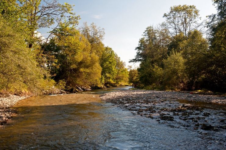 An der Unteren Argen - Westallgäuer Wasserweg 26