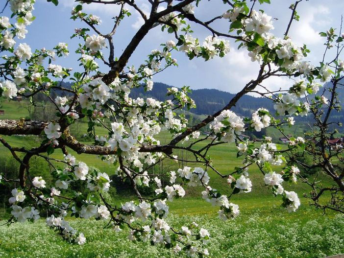 Frühling