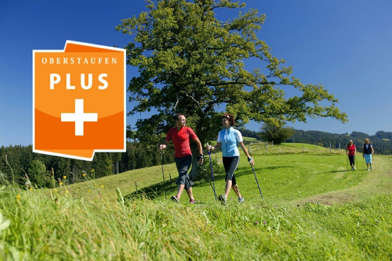 Oberstaufen Plus-Card im Sommer