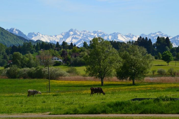 dsc_0321