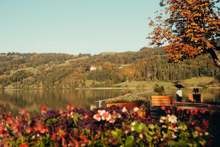 Herbst am Großen Alpsee