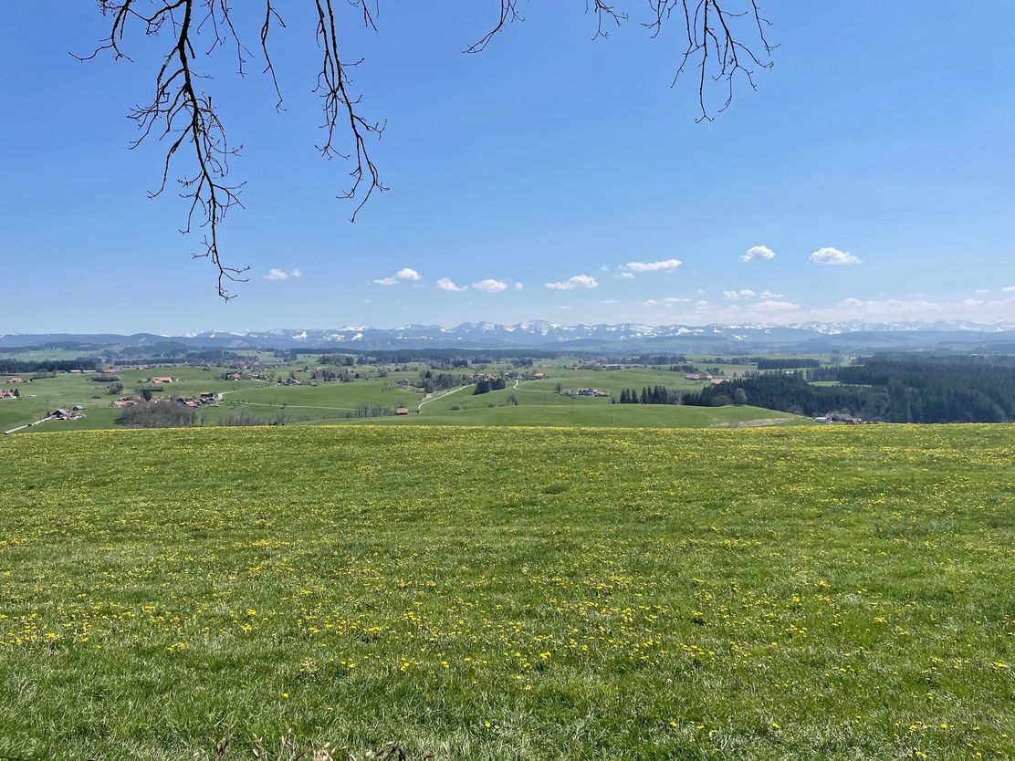 Aussichtspunkt Siggener Höhe