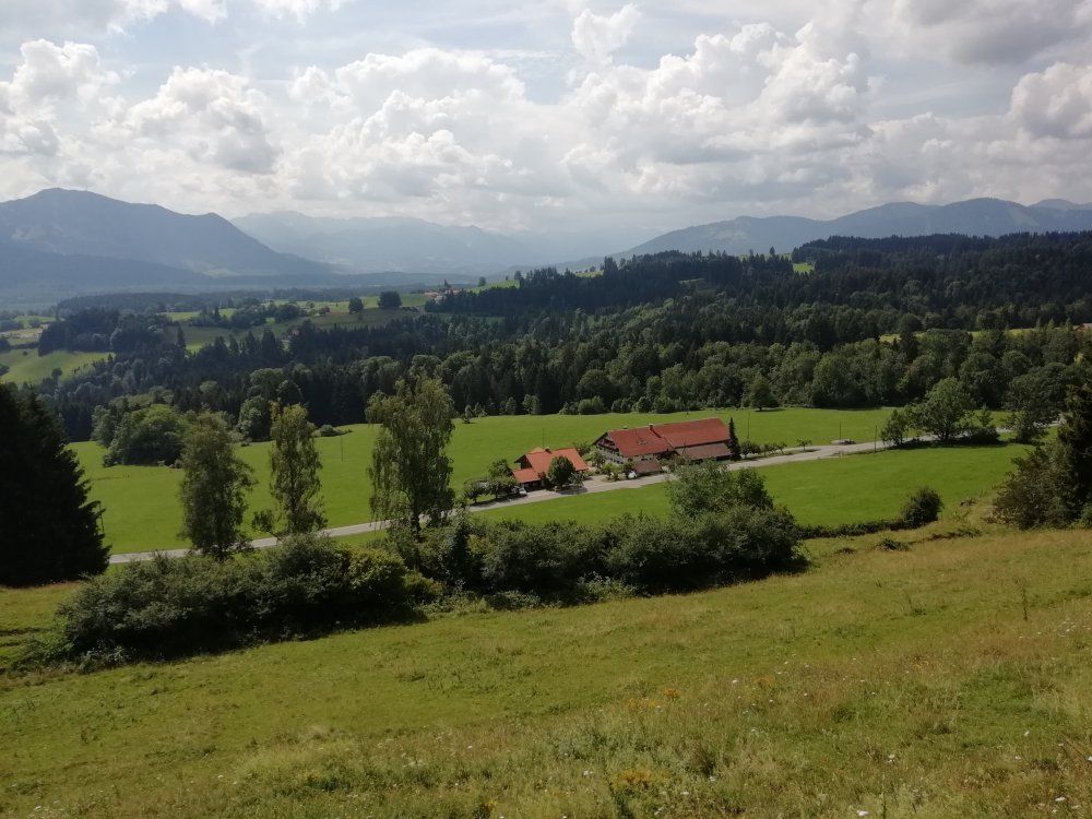 Blick von unserer Viehweide