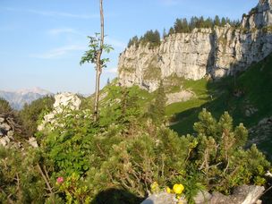Der zertifizierte Prämiumwanderweg "Königsweg" führt zum Besler bei Obermaiselstein im Allgäu