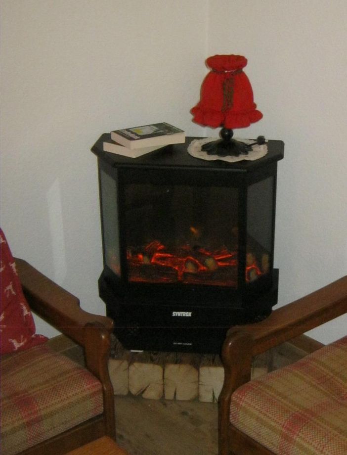 Elektrokamin