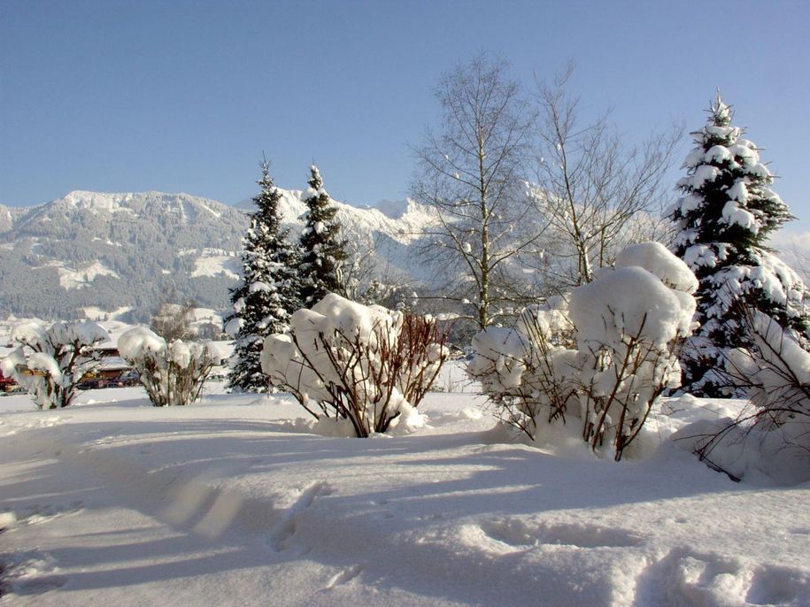 Terrasse_Winter