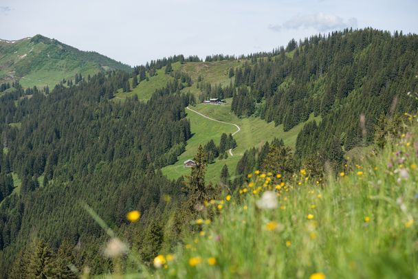 Wandern in den Allgäuer Hörnerdörfern